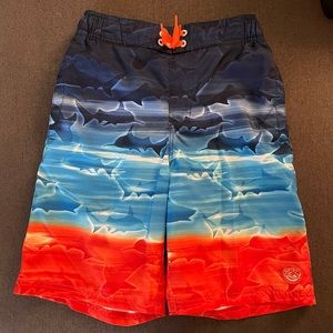 ZeroXposur Swim Shorts Size 14/16